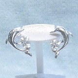 大きい画像で見る