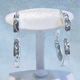 大きい画像で見る