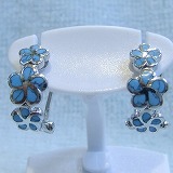 大きい画像で見る