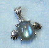 大きい画像で見る