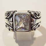 大きい画像で見る