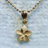 大きい画像で見る