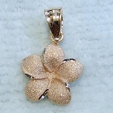 大きい画像で見る