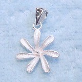 大きい画像で見る