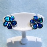 大きい画像で見る