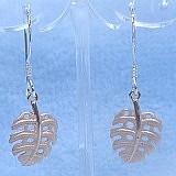 大きい画像で見る