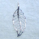 大きい画像で見る