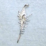 大きい画像で見る