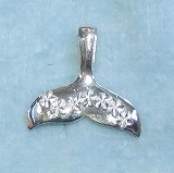 大きい画像で見る