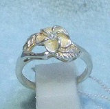 大きい画像で見る