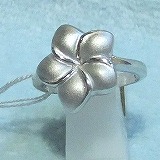 大きい画像で見る