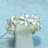 大きい画像で見る