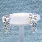 大きい画像で見る