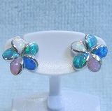 大きい画像で見る