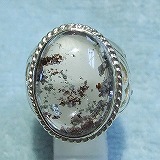 大きい画像で見る