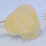 大きい画像で見る