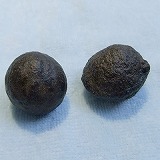 大きい画像で見る