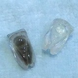 大きい画像で見る