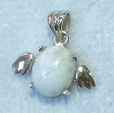 大きい画像で見る