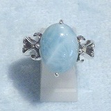 大きい画像で見る