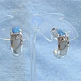 大きい画像で見る