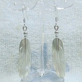 大きい画像で見る