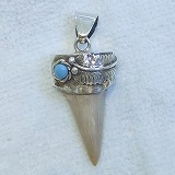 大きい画像で見る