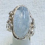 大きい画像で見る