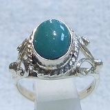 大きい画像で見る