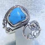 大きい画像で見る