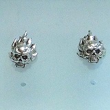 大きい画像で見る