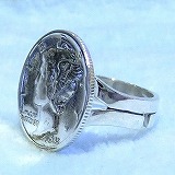 大きい画像で見る